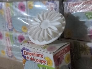 322 moule aabad achams