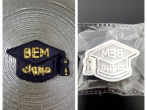 102666 طابع بلاستيك BEM