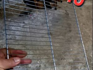 103628 شبكة إينوكس 30/40