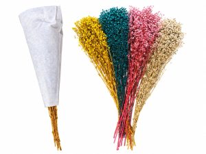 104550 أزهار الجيزوفيلا